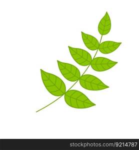 Branch with green leaves. Plant and part of tree. Symbol of freshness. Flat cartoon illustration isolated on white. Branch with green leaves. Plant and part of tree