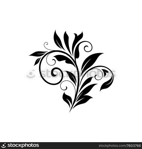 Branch with leaves and swirls isolated floral ornament. Vector flourish scroll in victorian style. Floral ornament isolated scroll with leaves