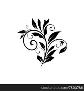 Branch with leaves and swirls isolated floral ornament. Vector flourish scroll in victorian style. Floral ornament isolated scroll with leaves