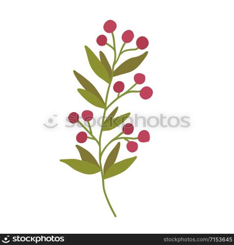 Branch with red berries. Interior floral art. Botanical isolated element for logo design. Branch with red berries. Interior floral art. Botanical isolated element for logo design.