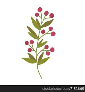 Branch with red berries. Interior floral art. Botanical isolated element for logo design. Branch with red berries. Interior floral art. Botanical isolated element for logo design.