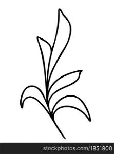 Branch with sheets, hand drawing vector illustration. Single deciduous branch, field grass, black outline. Minimalistic botanical element.. Branch with sheets, hand drawing vector illustration.