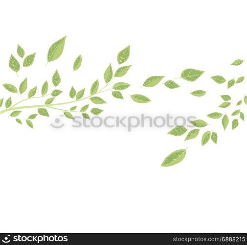 Branches and green leaves. Vector illustration of green leaves. Background with branches and leaves, place for text