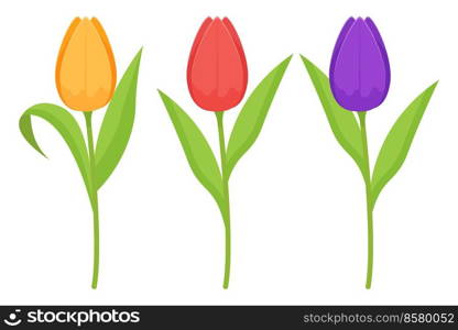 Branches of tulip flowers and green leaves. Flat vector illustration.. Branches of tulip flowers and green leaves. Flat vector illustration