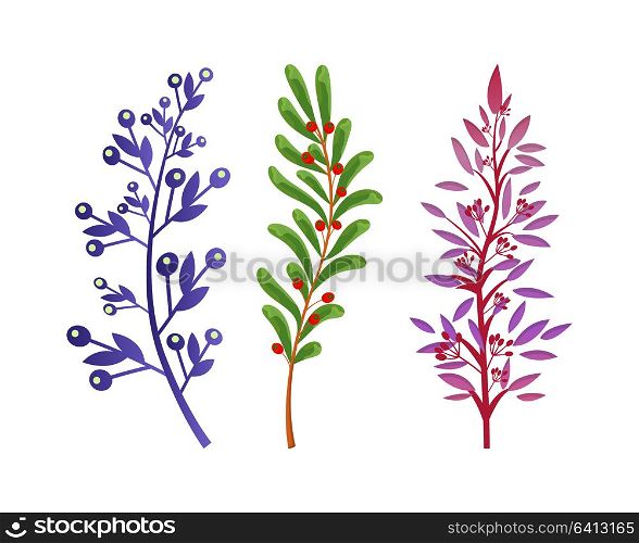 Branches of wild forest trees and bushes with berries set. Natural herbs with tiny leaves. Colorful branches isolated cartoon vector illustrations.. Branches of Forest Trees and Bushes with Berries