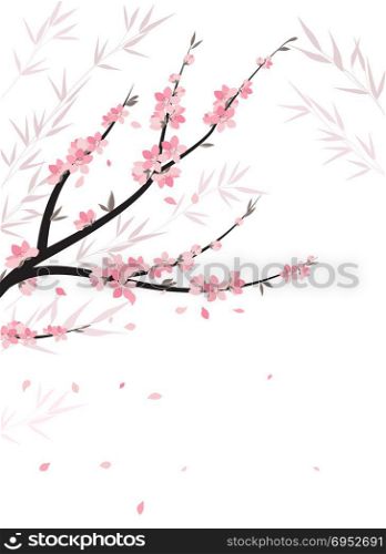 Branches with flowers. Vector decoration branches with flowers, spring blossom sakura.