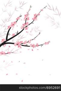 Branches with flowers. Vector decoration branches with flowers, spring blossom sakura.