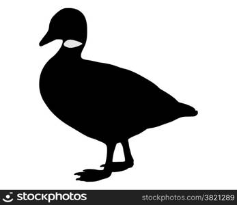Brant goose silhouette