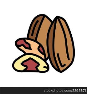 brazil nut color icon vector. brazil nut sign. isolated symbol illustration. brazil nut color icon vector illustration