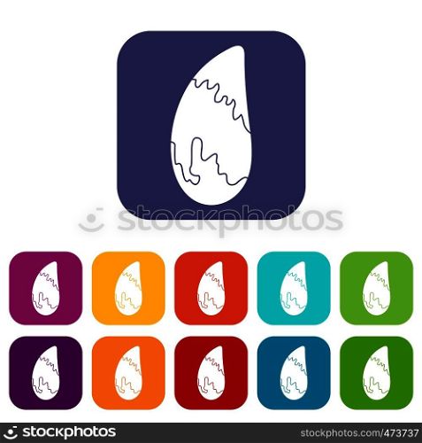 Brazil nut icons set vector illustration in flat style In colors red, blue, green and other. Brazil nut icons set flat