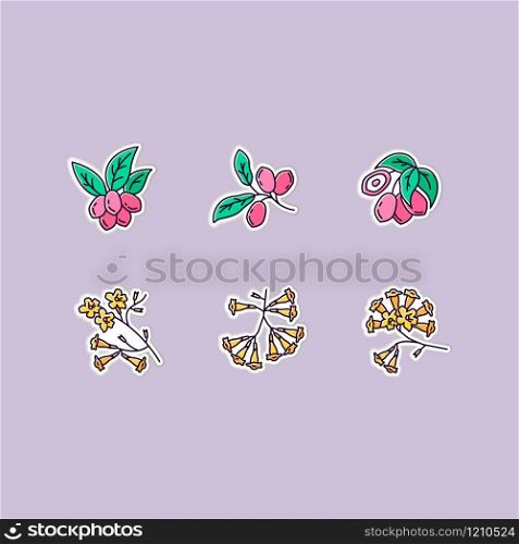 Brazilian flora printable patches. Miracle fruit. RGB color stickers, pins and badges set. Ipe tree. Plumeria and jojoba. South american plant. Botany. Tropical blossom. Vector isolated illustrations
