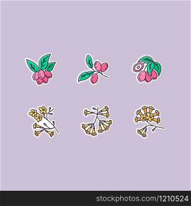 Brazilian flora printable patches. Miracle fruit. RGB color stickers, pins and badges set. Ipe tree. Plumeria and jojoba. South american plant. Botany. Tropical blossom. Vector isolated illustrations