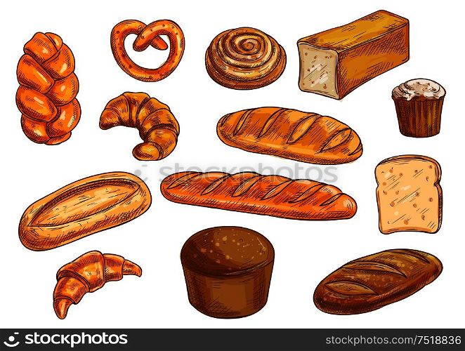 Bread sorts and bakery elements set. Vector pencil sketch of rye bread, ciabatta, wheat bread, muffin, bun, bagel, sliced bread, french baguette, croissant, pretzel. Bread sorts and bakery sketched objects