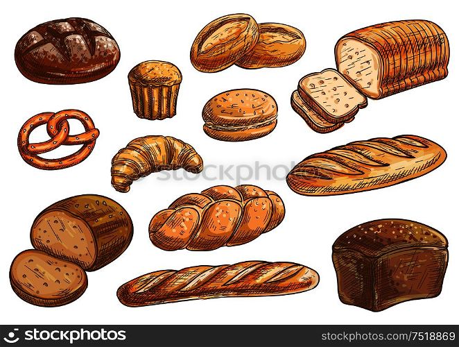 Bread sorts and bakery icons. Vector pencil sketch rye bread, ciabatta, wheat bread, muffin, bun, bagel, sliced bread, french baguette, croissant pretzel biscuit. Bread sorts and bakery pencil sketch icons