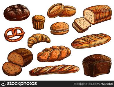 Bread sorts and bakery icons. Vector pencil sketch rye bread, ciabatta, wheat bread, muffin, bun, bagel, sliced bread, french baguette, croissant pretzel biscuit. Bread sorts and bakery pencil sketch icons