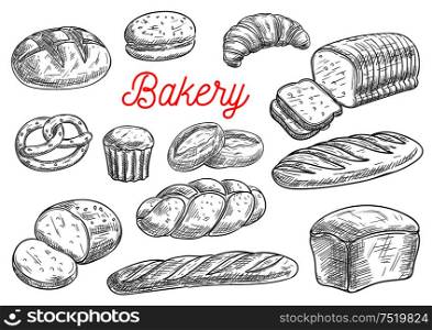 Bread sorts and bakery products. Rye bread, ciabatta, wheat bread, muffin and bun, bagel, sliced bread and french baguette, croissant and pretzel, biscuit. Vector sketch. Bread and bakery products vector sketches
