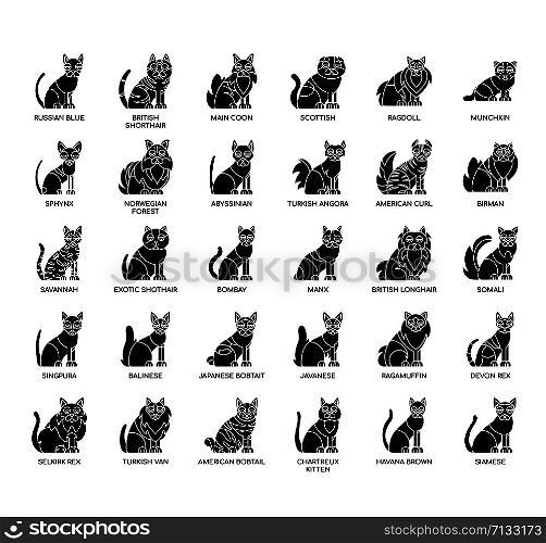 Breed Cat1 , Thin Line and Pixel Perfect Icons