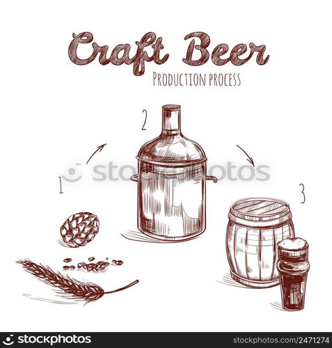 Brewing process hand drawn concept with ingredients and main steps of craft beer production isolated vector illustration. Brewing Process Hand Drawn Concept