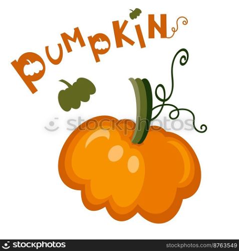 Bright appetizing Pumpkin with Hand drawn lettering Pumpkin on a white background