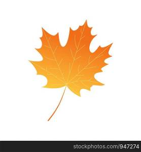 Bright autumn leaf. Cartoon style. Vector design.