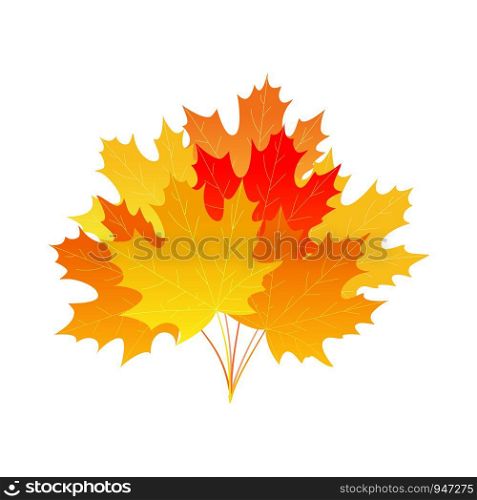 Bright autumn maple leaf bouquet. Cartoon style. Vector design.