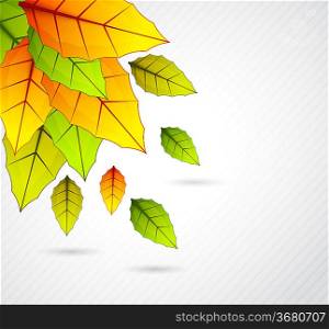Bright background with colorful leaves and lines