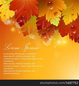 Bright beautiful leaves with autumnal abstract backgrounds.Vector