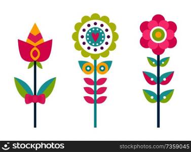 Bright creative flowers with colorful petals set. Ornamental bloomings big buds on thin long stems. Floristic decorations vector illustrations.. Bright Creative Flowers with Colorful Petals Set