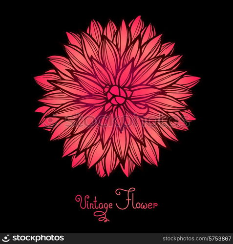 Bright Dahlia Flower Isolated for design. Vector Illustration.. Bright Dahlia Flower Isolated for design.