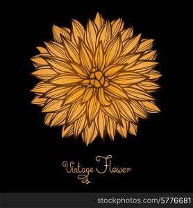 Bright Dahlia Flower Isolated for design. Vector Illustration.. Bright Dahlia Flower Isolated for design.