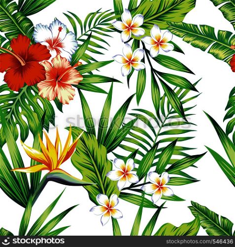 Bright exotic tropical flowers hibiscus frangipani bird of paradise and green leaves seamless pattern beach vector wallpaper on the white background