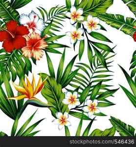 Bright exotic tropical flowers hibiscus frangipani bird of paradise and green leaves seamless pattern beach vector wallpaper on the white background