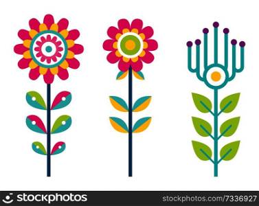 Bright field flowers composed of bright details. Colorful plants with big buds, long stems and small leaves. Decorative flowers vector illustrations.. Bright Field Flowers Composed of Bright Details