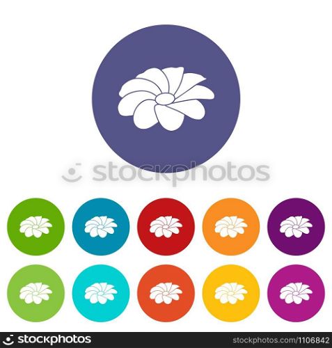 Bright flower icons color set vector for any web design on white background. Bright flower icons set vector color
