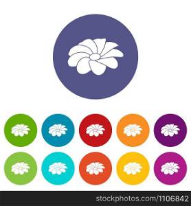 Bright flower icons color set vector for any web design on white background. Bright flower icons set vector color