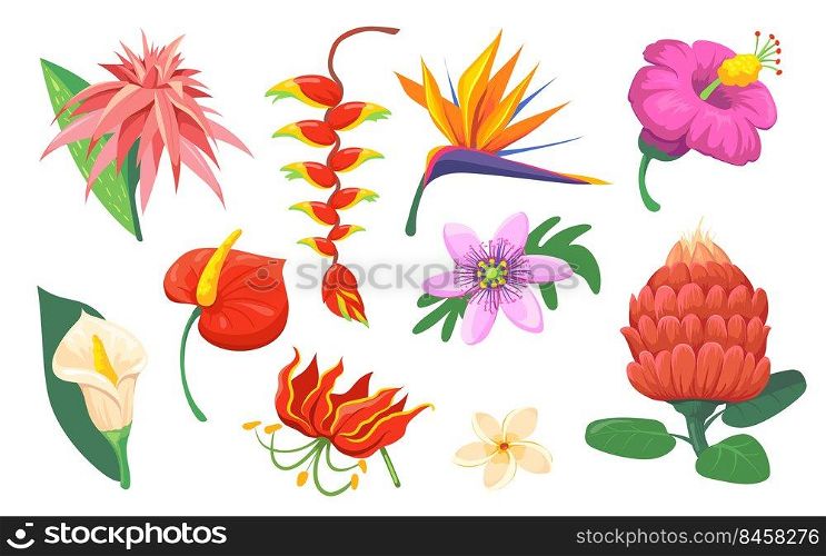 Bright Hawaiian exotic flowers flat pictures set for web design. Cartoon magnolia, orchid and jungle garden isolated vector illustration collection. Summer wild plants and travel concept