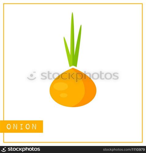Bright memory training card with colorful vegetable. Flat design isolated orange color onion or bulb with shine and shade. Vector illustration for vegan infographic, kid game or school vitamin poster. Isolated orange onion memory training card