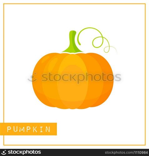 Bright memory training card with colorful vegetable. Flat design isolated orange color pumpkin with shine and shade. Vector illustration for nutrition poster, vegetables market sign or organic logo. Isolated orange pumpkin memory training card