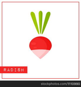 Bright memory training card with colorful vegetable. Flat design isolated red and pink color radish with shine and shade. Vector illustration for vegeterian infographic or healthy diet banner,. Isolated red radish memory training card