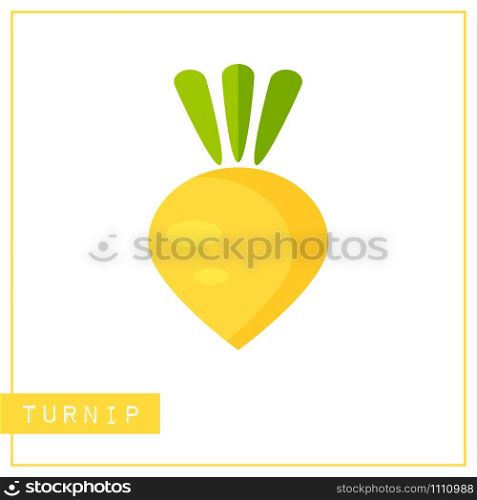 Bright memory training card with colorful vegetable. Flat design isolated yellow color turnip or rutabaga with shine and shade. Vector illustration for healthy diet banner or school vitamin poster.. Isolated yellow turnip memory training card