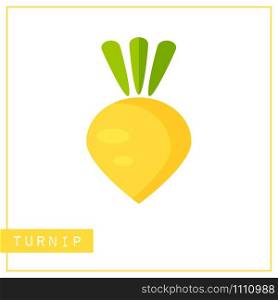 Bright memory training card with colorful vegetable. Flat design isolated yellow color turnip or rutabaga with shine and shade. Vector illustration for healthy diet banner or school vitamin poster.. Isolated yellow turnip memory training card