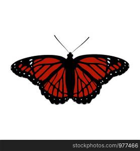Bright orange monarch butterflie. Vector Illustration.. Bright orange monarch butterflie.