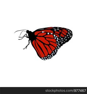 Bright orange monarch butterflie. Vector Illustration. Bright orange monarch butterflie.
