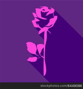 Bright pink rose. Bright pink rose, on a violet background, vector illustration