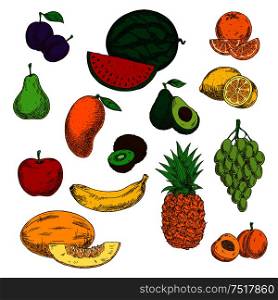 Bright ripe and juicy orange and lemon, banana and apple, mango, pineapple and green grapes bunch, peach, plums and pear, watermelon and avocado, kiwi and cantaloupe melon sketched fruits symbols. Assortment of ripe and sweet fruits sketches