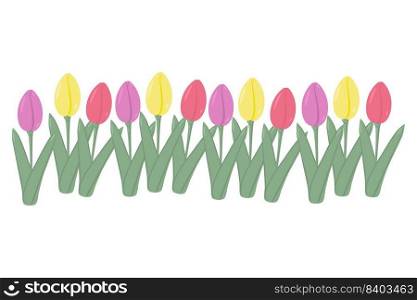 Bright Set of multicolored tulips lined up in one uneven line. Springtime. Isolate. 8 March. Happy Woman day. Nice for wrapping, print or poster, brochure, label, price, greeting or invitation. EPS