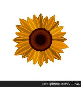 Bright sunflower icon. Flat illustration of bright sunflower vector icon for web. Bright sunflower icon, flat style