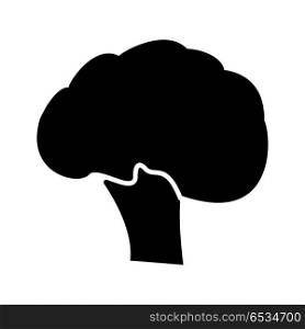 Broccoli black icon .
