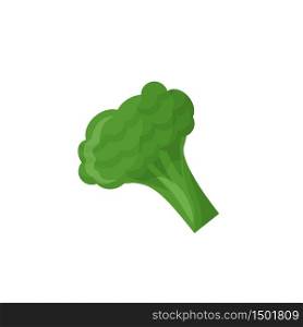 Broccoli cartoon vector illustration. Raw fresh vegetable flat color object. Source of vitamins, potassium, fiber. Healthy diet product. Cabbage green floret isolated on white background. Broccoli cartoon vector illustration