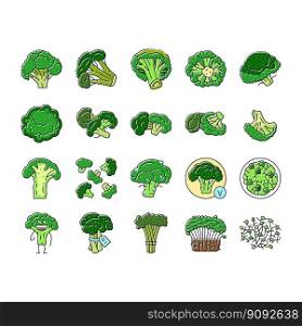 broccoli food cabbage vegetable icons set vector. brocolli green, vegan character, design salad, plant veggie, happy healthy, vitamin broccoli food cabbage vegetable color line illustrations. broccoli food cabbage vegetable icons set vector